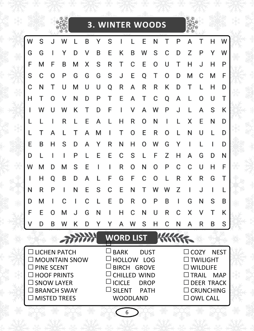 Winter Word Search - Page 6